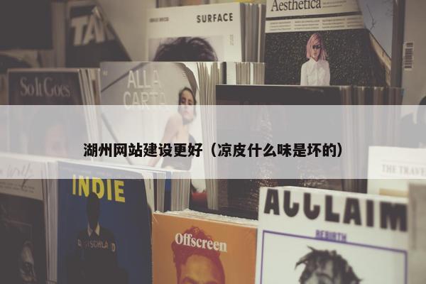 湖州网站建设更好（凉皮什么味是坏的）