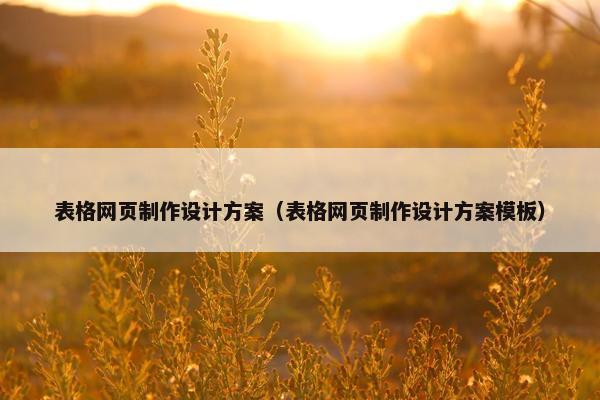 表格网页制作设计方案（表格网页制作设计方案模板）