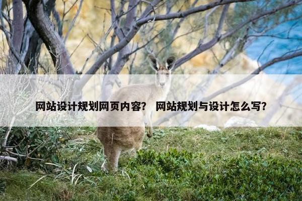 网站设计规划网页内容？ 网站规划与设计怎么写？