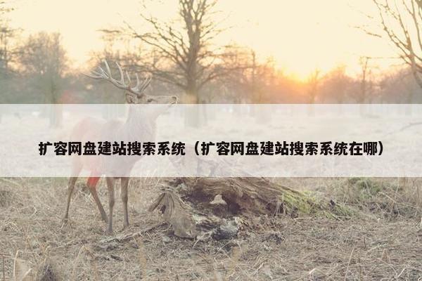 扩容网盘建站搜索系统（扩容网盘建站搜索系统在哪）
