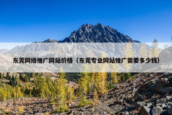 东莞网络推广网站价格（东莞专业网站推广需要多少钱）