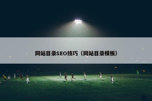网站目录SEO技巧（网站目录模板）