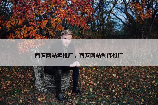 西安网站云推广，西安网站制作推广