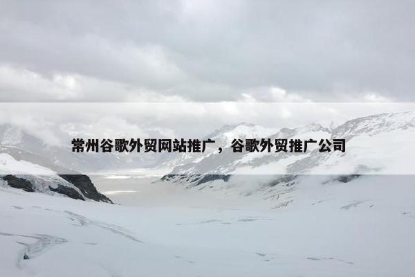 常州谷歌外贸网站推广，谷歌外贸推广公司