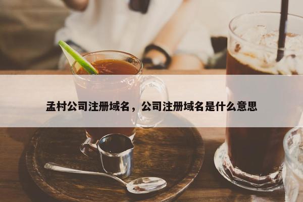 孟村公司注册域名，公司注册域名是什么意思