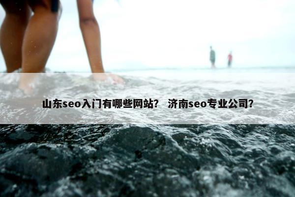 山东seo入门有哪些网站？ 济南seo专业公司？
