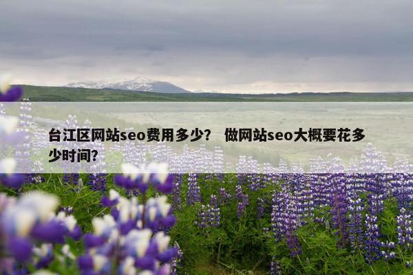 台江区网站seo费用多少？ 做网站seo大概要花多少时间？