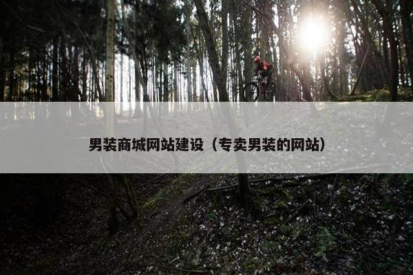 男装商城网站建设（专卖男装的网站）