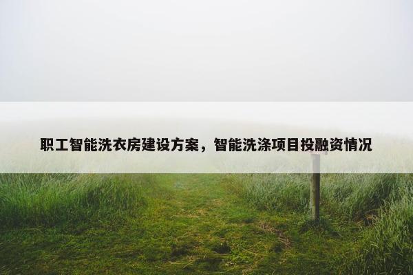 职工智能洗衣房建设方案，智能洗涤项目投融资情况