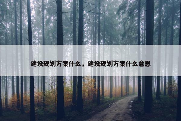 建设规划方案什么，建设规划方案什么意思