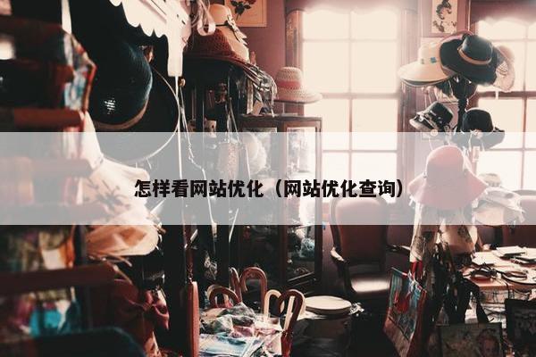 怎样看网站优化（网站优化查询）