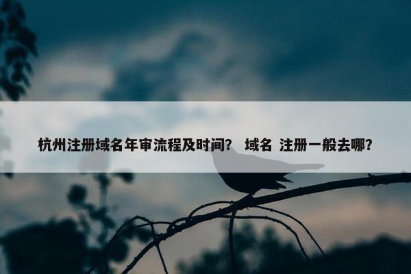 杭州注册域名年审流程及时间？ 域名 注册一般去哪？