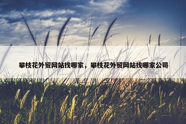 攀枝花外贸网站找哪家，攀枝花外贸网站找哪家公司