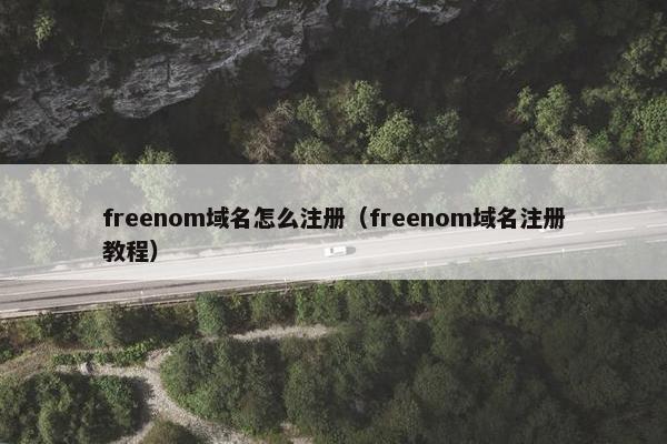 freenom域名怎么注册（freenom域名注册教程）